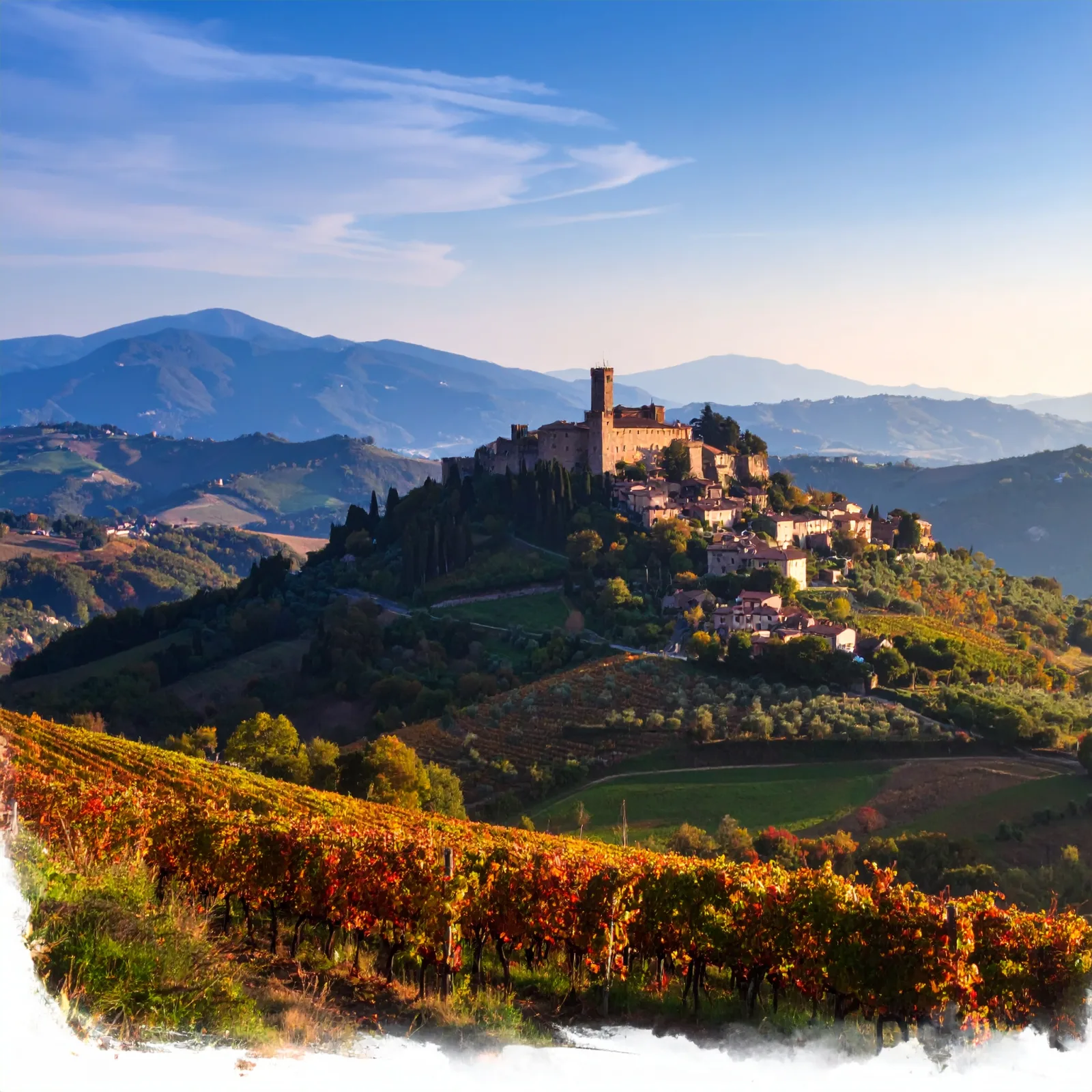 Master Fiori di Bach online per chi vive a Molise