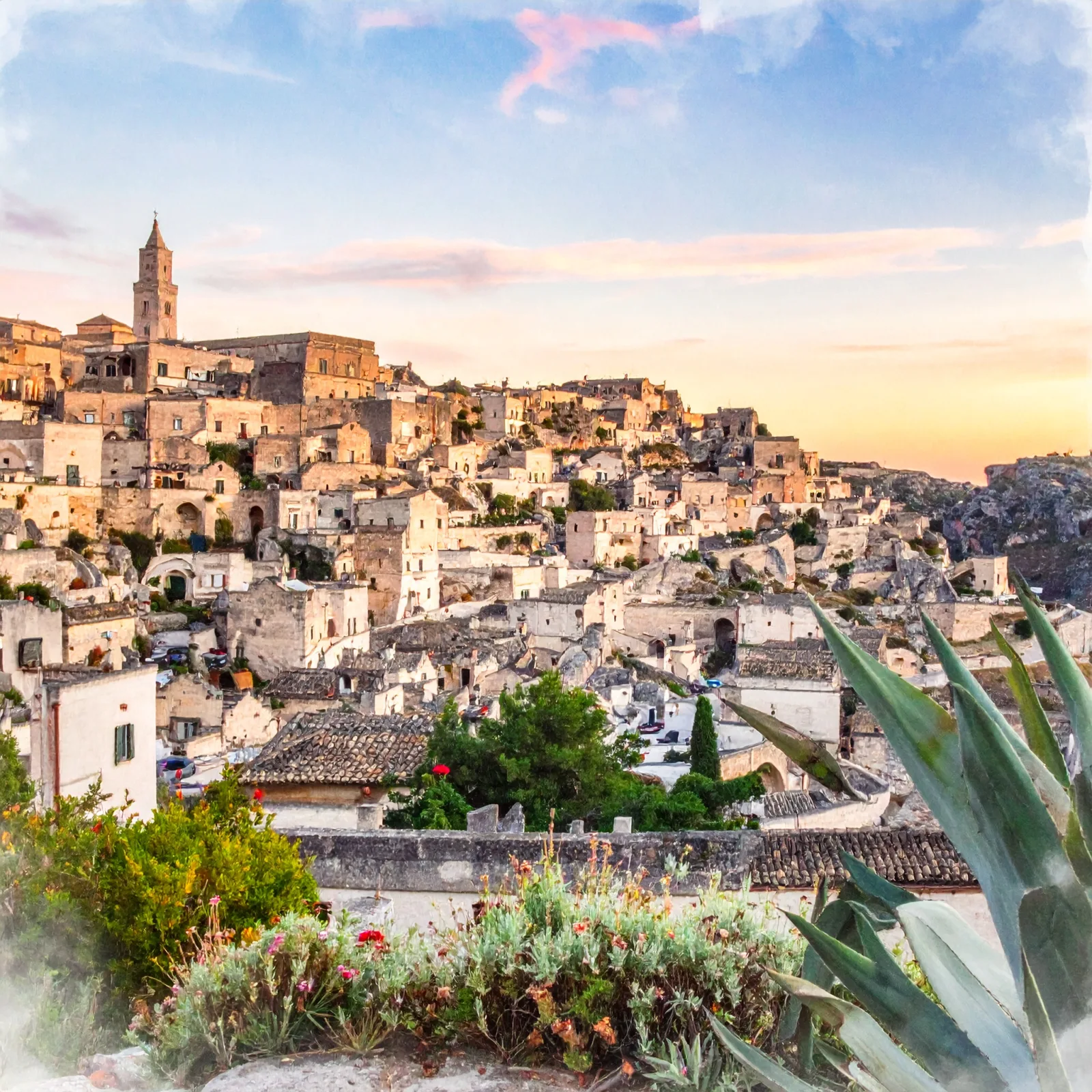Master Fiori di Bach online per chi vive a Potenza
