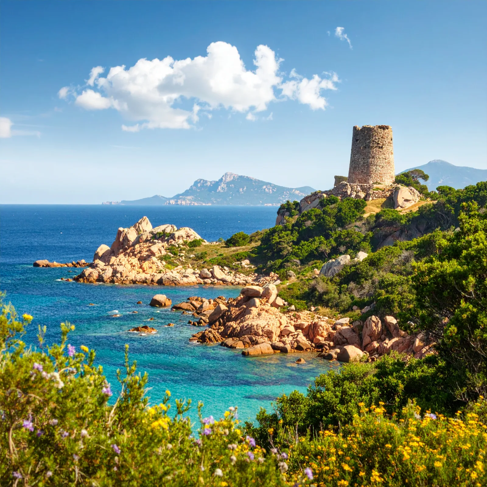 Master Fiori di Bach online per chi vive a Sardegna