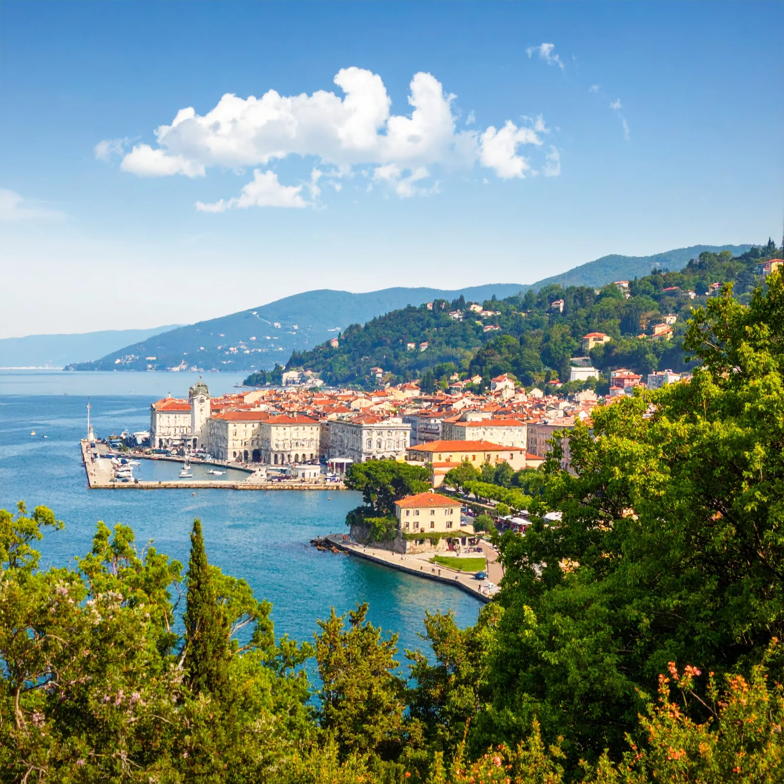 Master Fiori di Bach online per chi vive a Udine