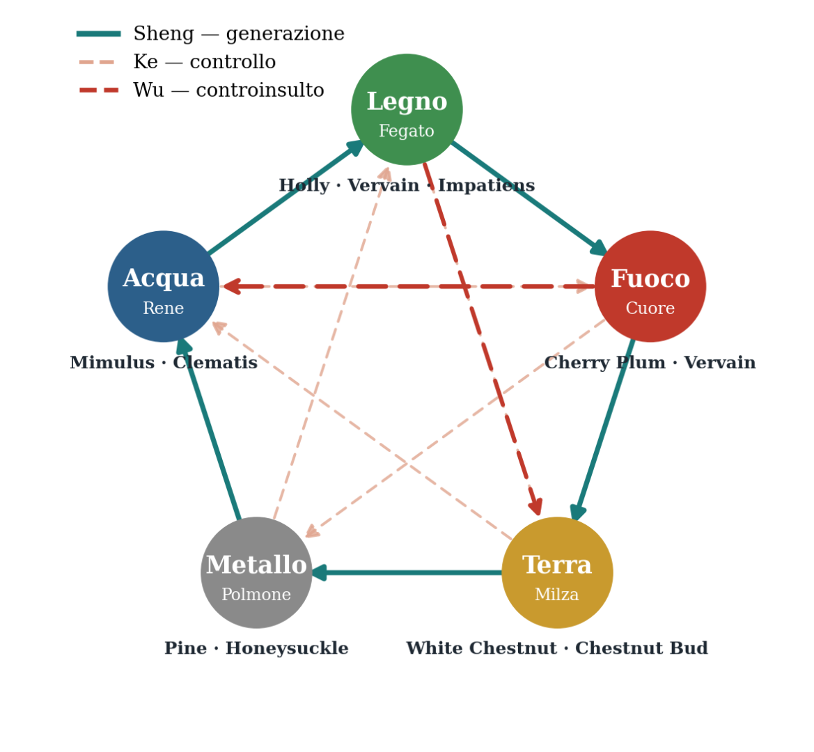 Il ciclo dei cinque movimenti (Legno, Fuoco, Terra, Metallo, Acqua) con i fiori collocati su ogni movimento; frecce Sheng, Ke e Wu