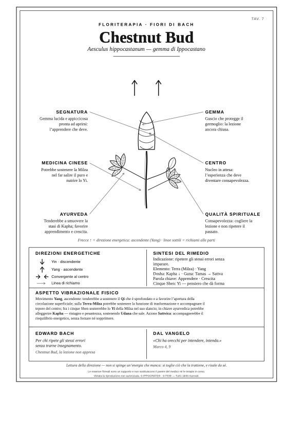 Tavola monografica del volume Floriterapia Energetica Integrata